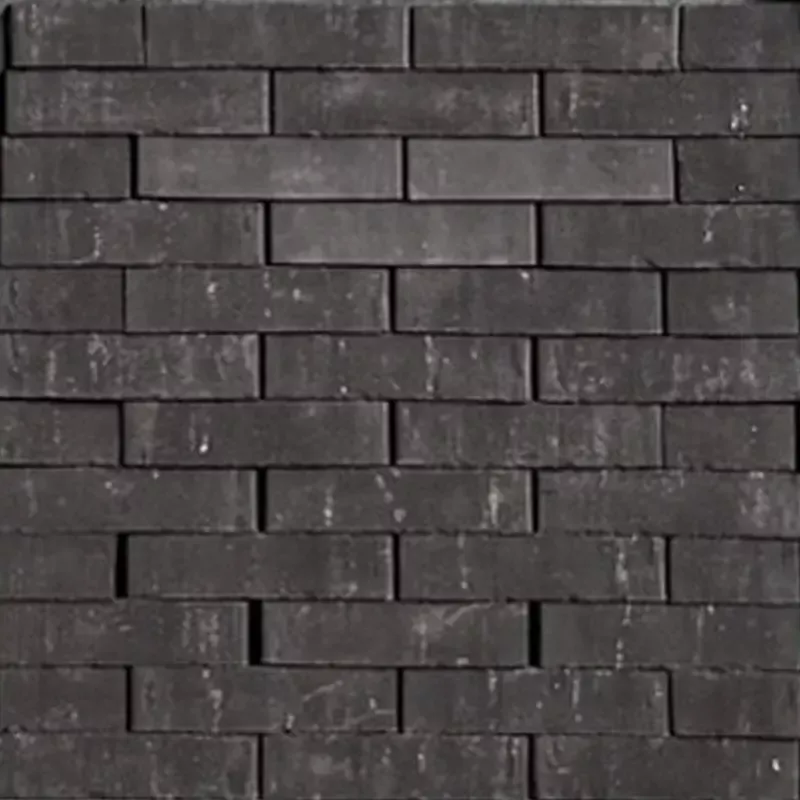 Bremen Gebakkenbestrating - Afbeelding 3